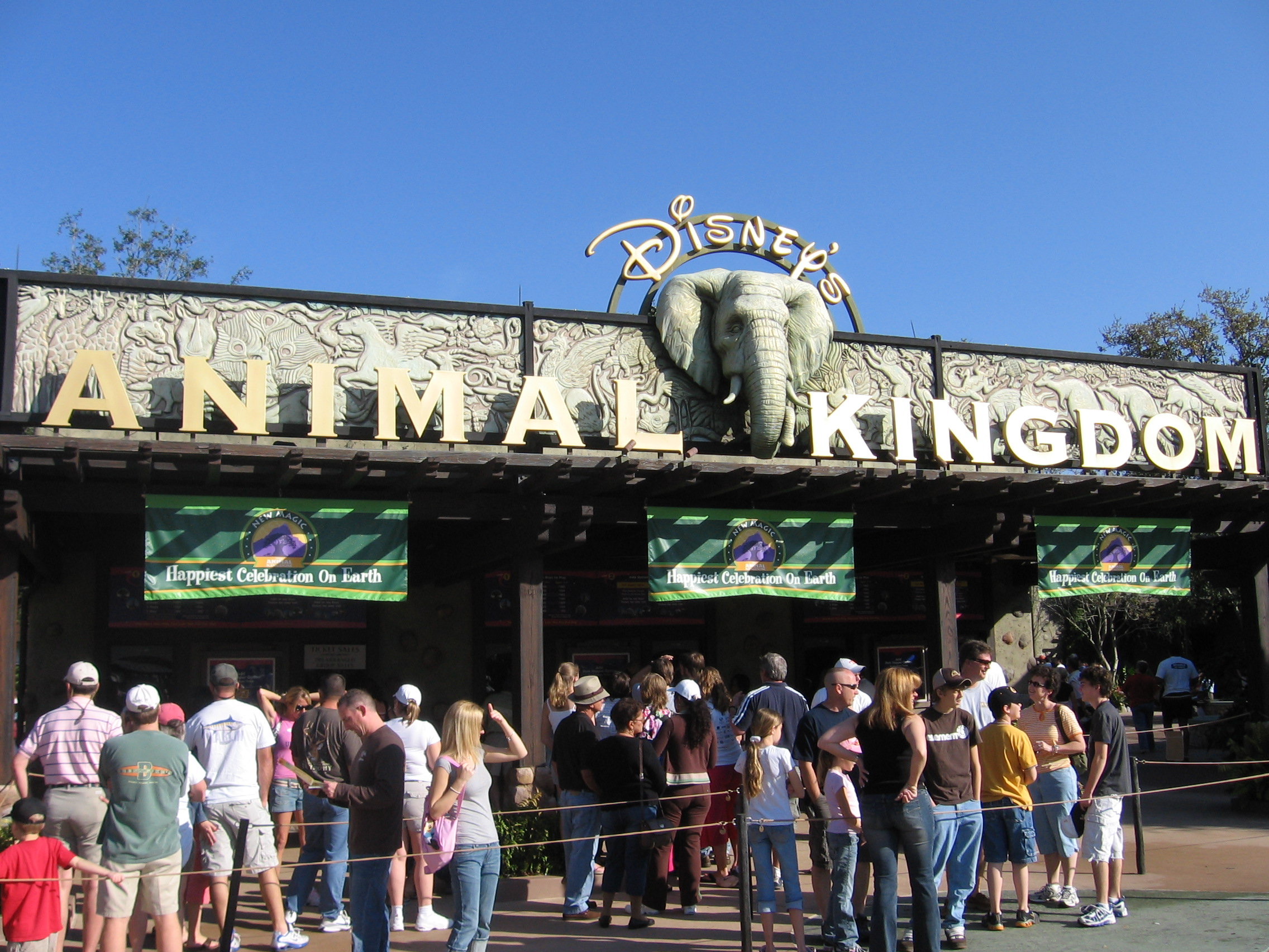 Explore The African Savanna On A Thrilling Animal Kingdom Safari Trek