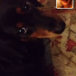 Facetiming with Heidi