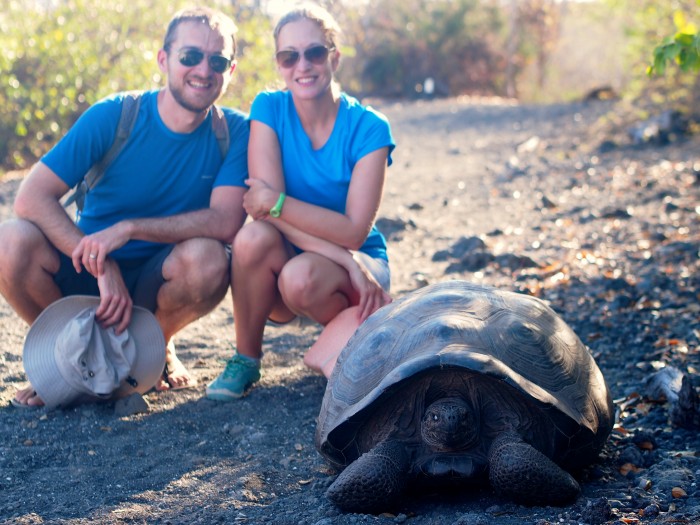 Galapagos Giant Tortoise